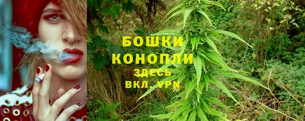 не бодяженный Горняк